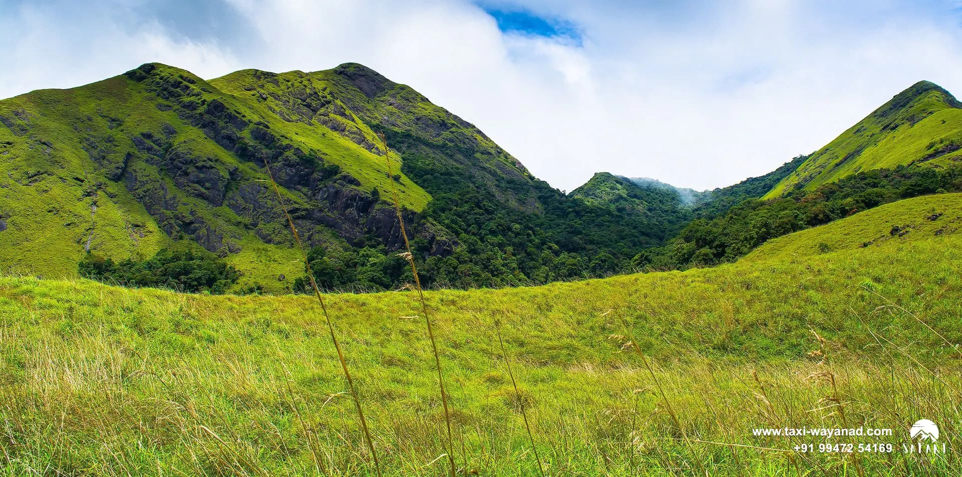 Green grassland peaks of Chembra under a bright blue sky near the heart-shaped lake, Wayanad