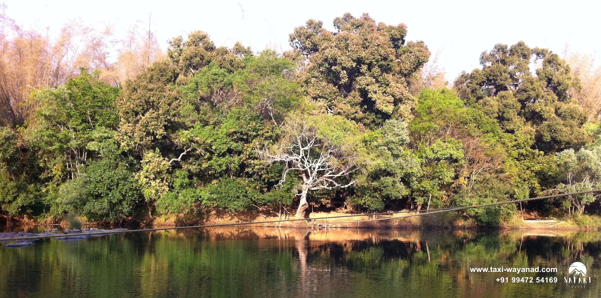 Forested banks of Kuruva Island reflected in the still Kabini River, Wayanad