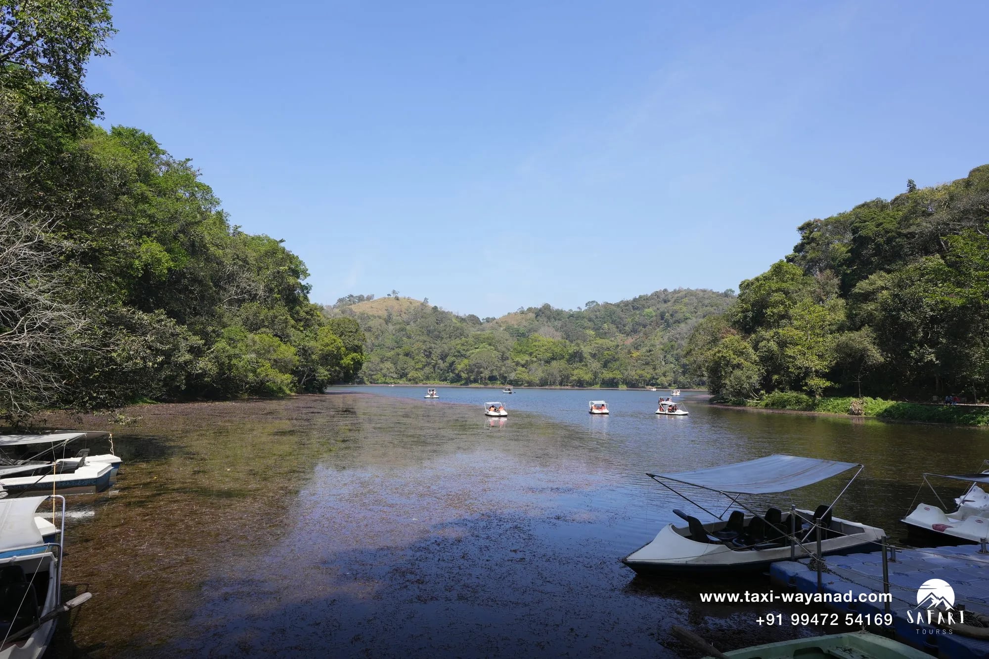 Pookode Lake boating: pedal boats on the forest-ringed lake near Vythiri, Wayanad