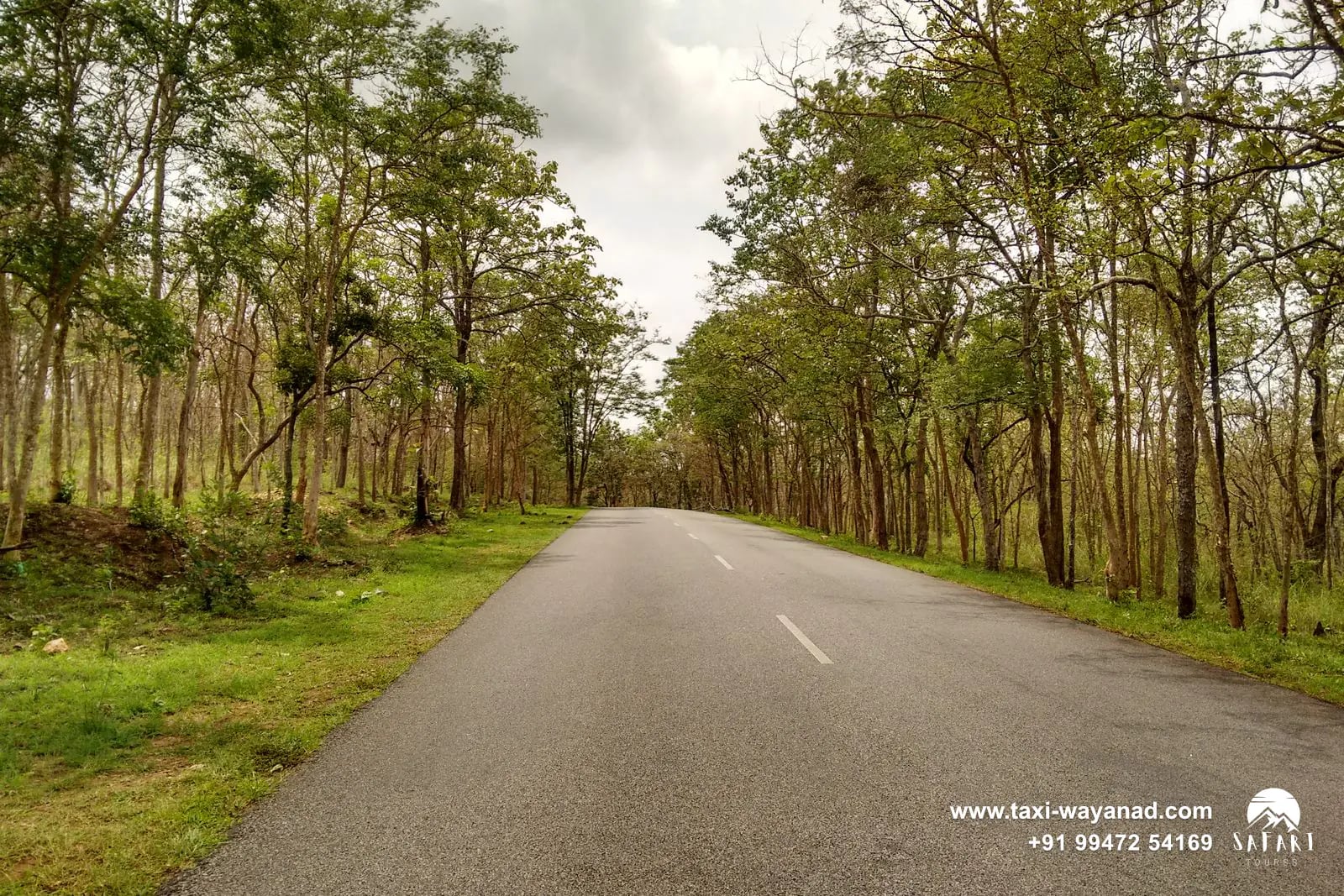 NH 766 running straight through the Bandipur Tiger Reserve forest