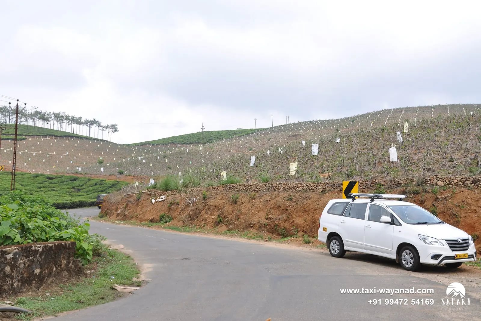 White Toyota Innova taxi on a hill road through Kerala tea gardens