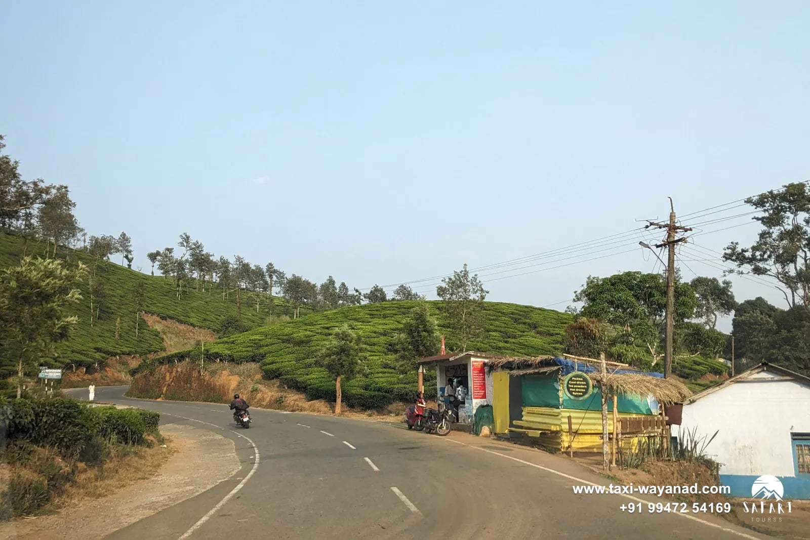 Road curving past tea estates in Wayanad