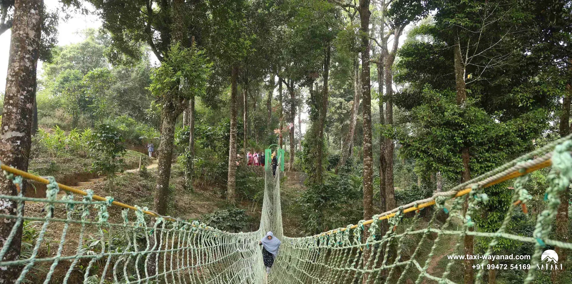 Rope net bridge through the forest canopy at 900 Kandi, Wayanad