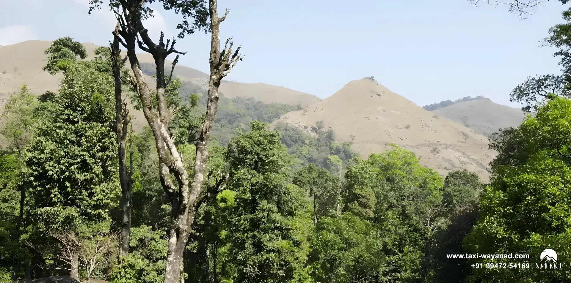 Forest trail below the grassy hills of 900 Kandi, Wayanad