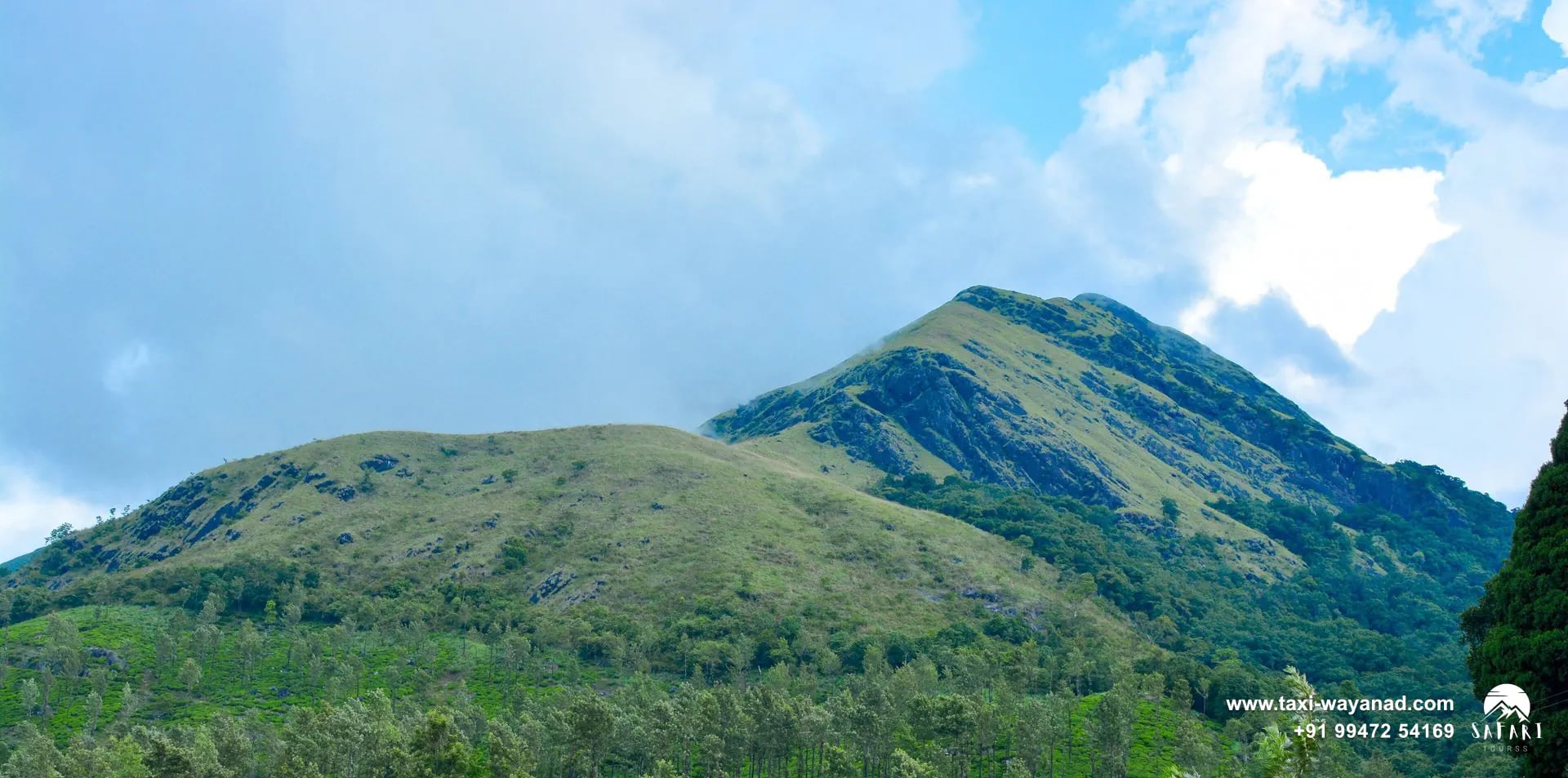 Chembra Peak rising above tea estates and forest, Wayanad