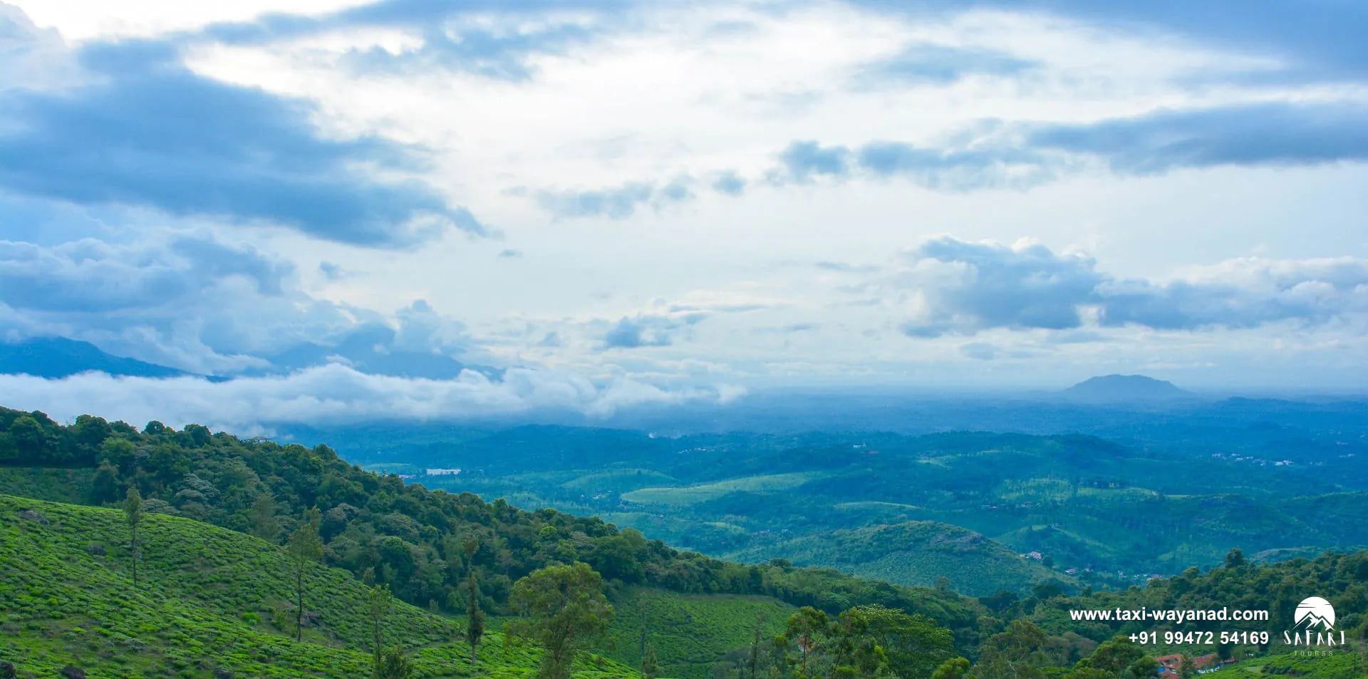 View over tea-covered valleys from halfway up Chembra Peak, Wayanad