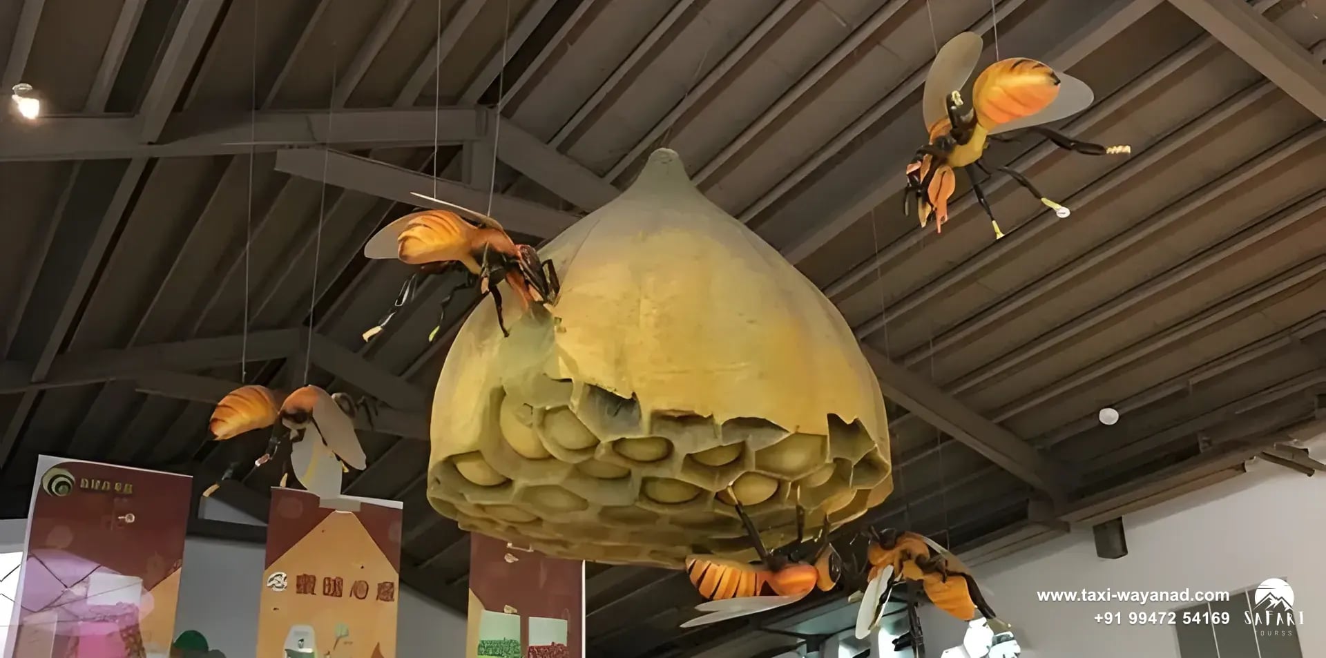 Giant beehive and bee models hanging inside the honey museum, Wayanad