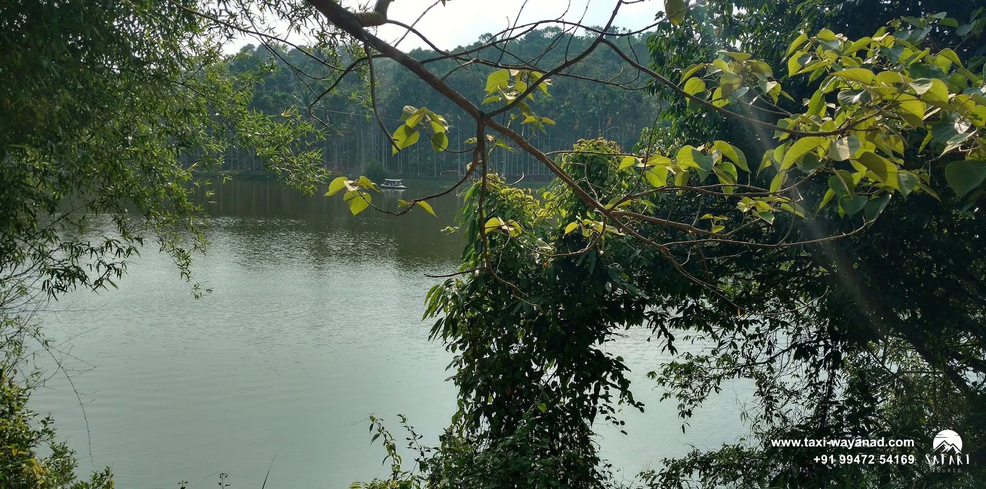 Calm water of Karlad Lake framed by overhanging branches, Wayanad