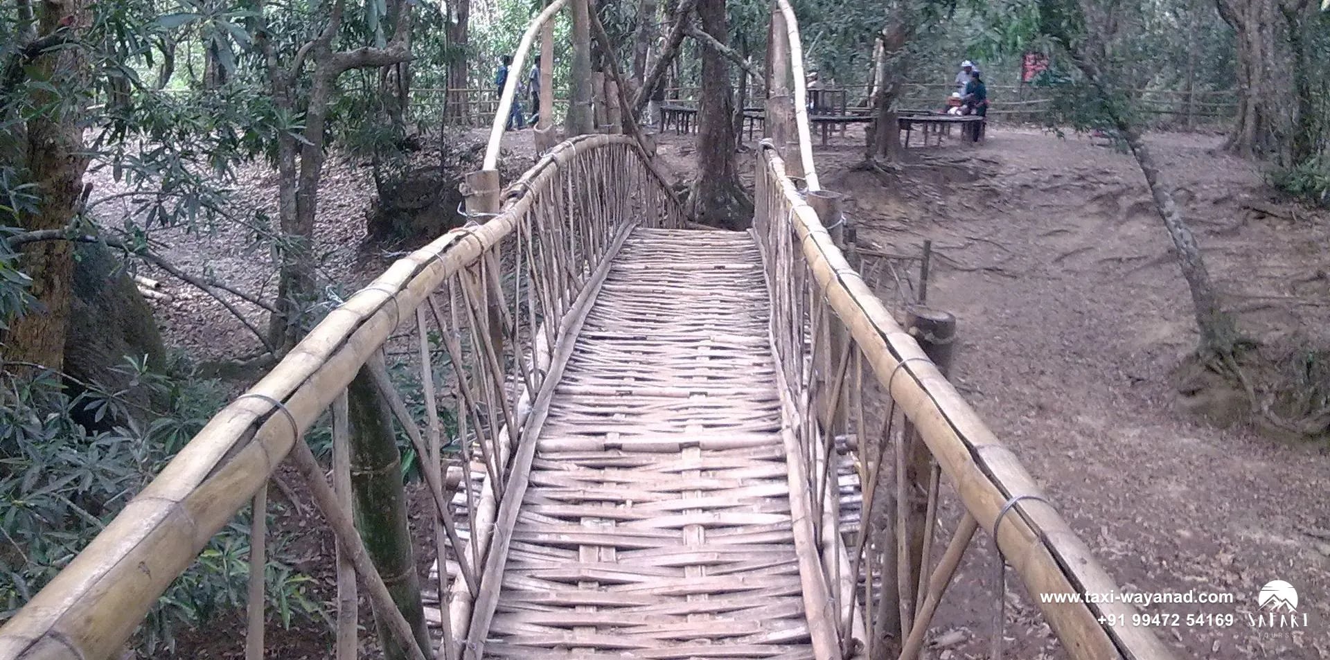 Woven bamboo footbridge through the forest on Kuruva Island, Wayanad