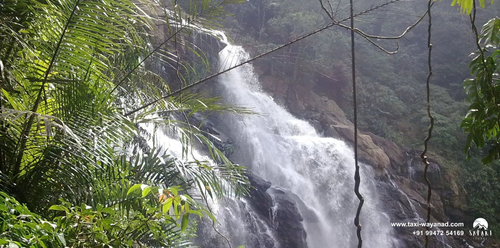 Meenmutty Waterfalls seen through palms and dense jungle foliage, Wayanad