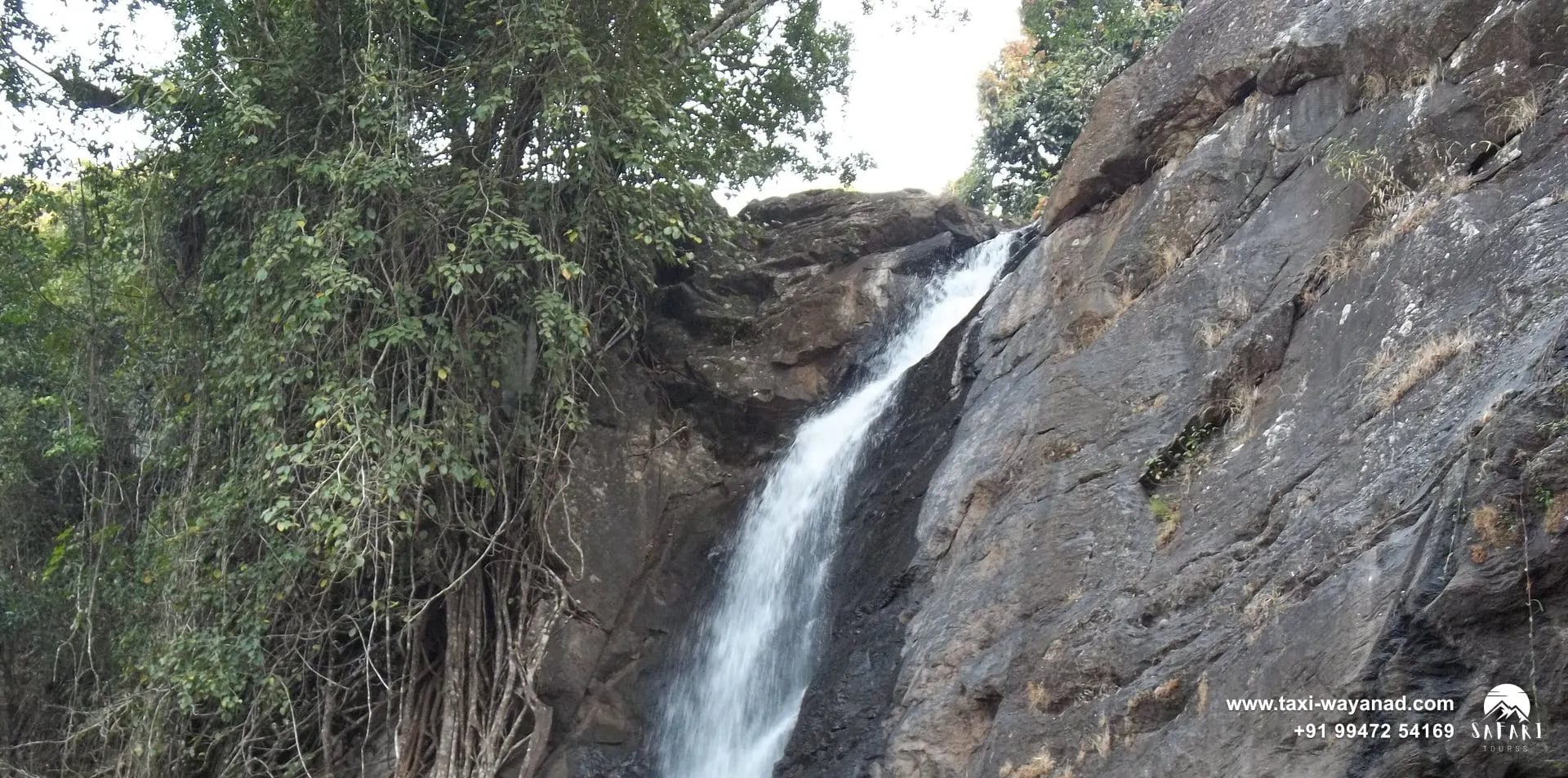 Slender stream of Soochipara Waterfalls sliding down a rock face beside tall trees, Wayanad