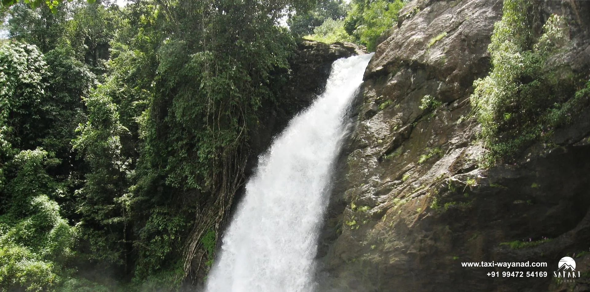 Soochipara Waterfalls cascading through green forest onto dark boulders, Wayanad