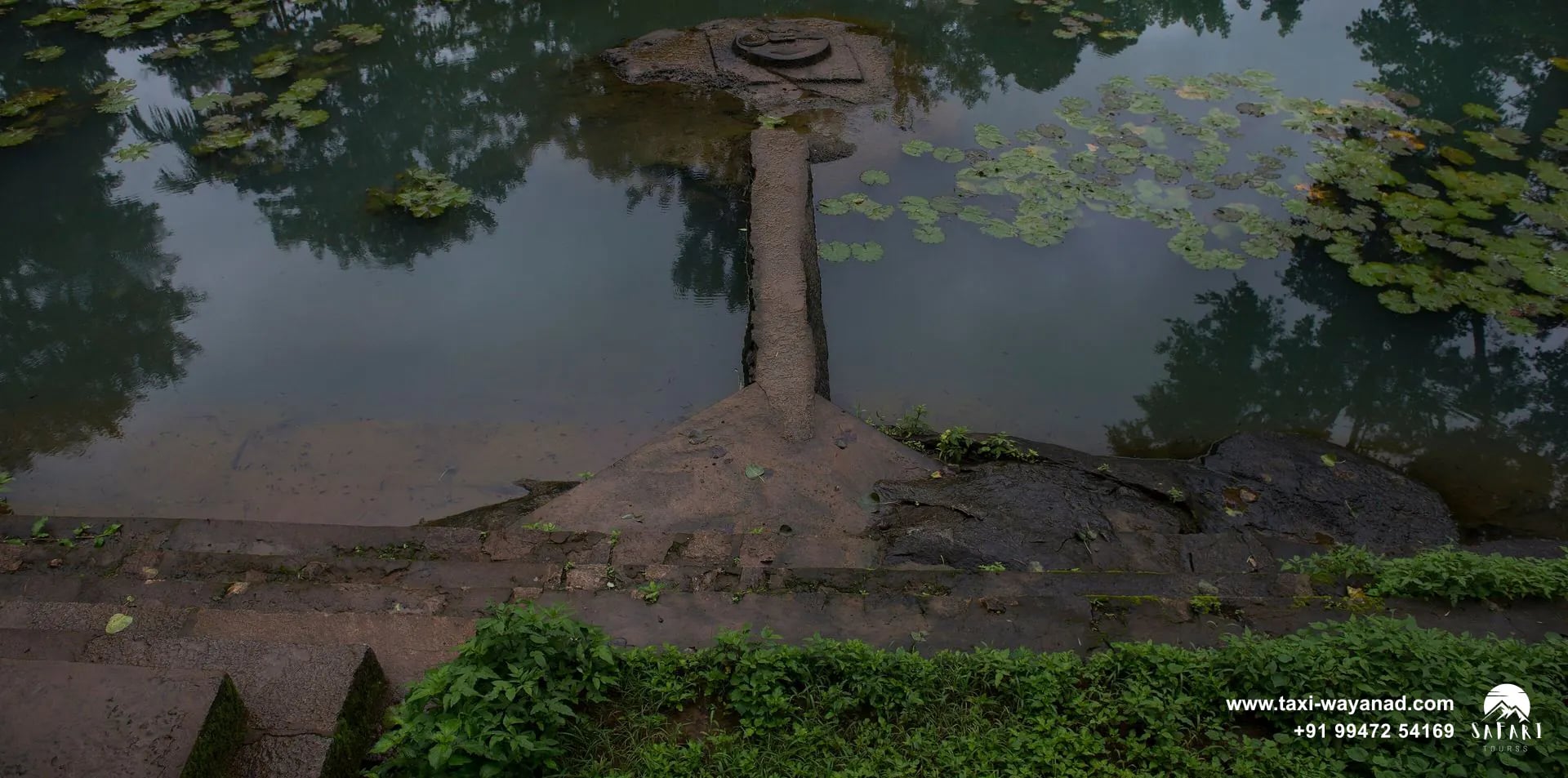Panchatheertham, the lily-covered holy pond of Thirunelli Temple, Wayanad