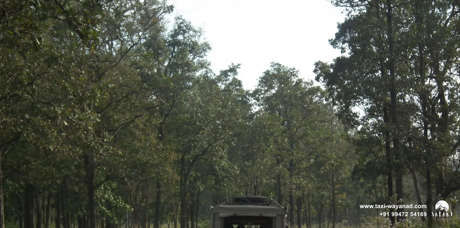 Safari jeep driving along a forest track through the Wayanad Wildlife Sanctuary, Wayanad